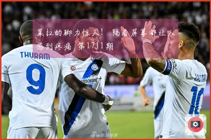 莱拉的脚力惊人！ 隔着屏幕都让人感到疼痛  第1711期