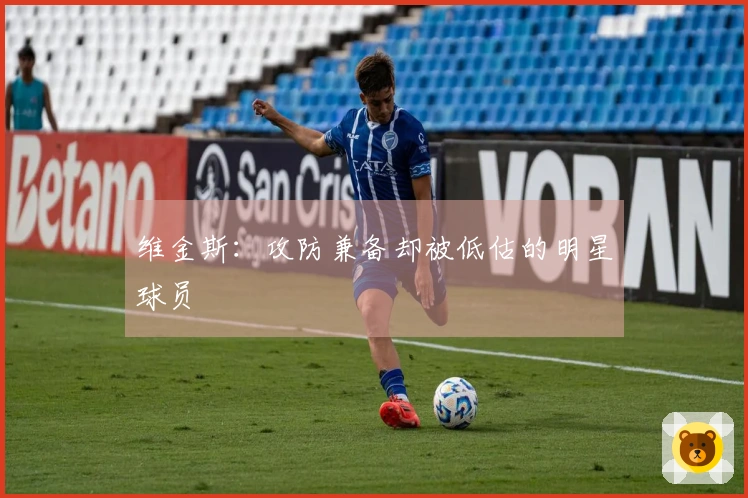 维金斯：攻防兼备却被低估的明星球员